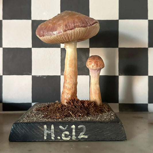 1950s Czech Republic Models Mushroom - FLORA BLACK