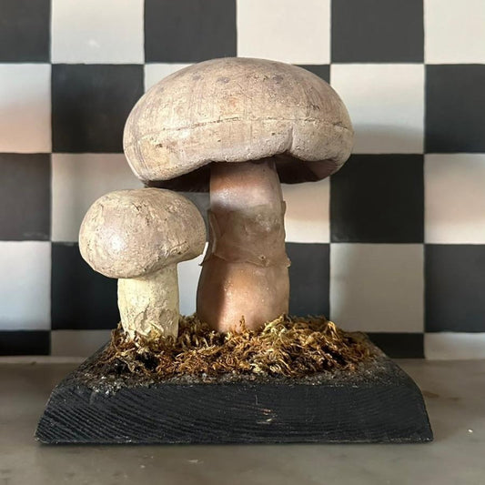 1950s Czech Republic Models Mushroom - FLORA BLACK