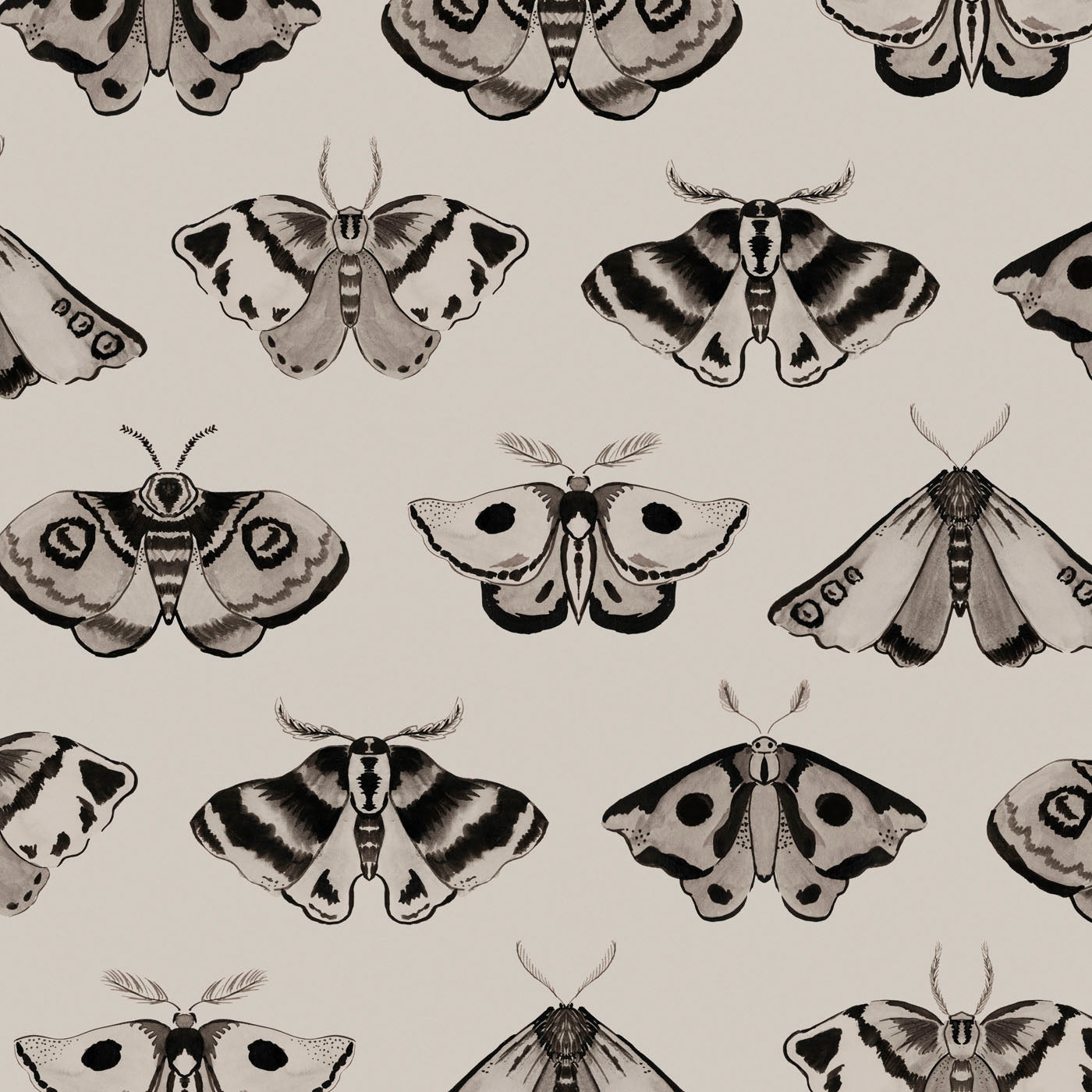 'Dusk' : Black On Ammonite - FLORA BLACK