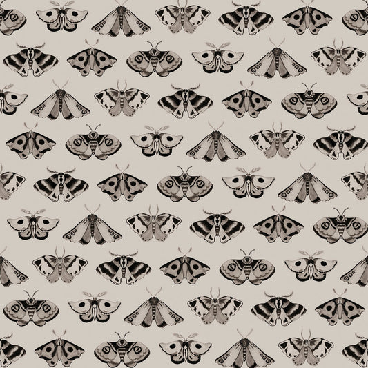 'Dusk' : Black On Ammonite - FLORA BLACK