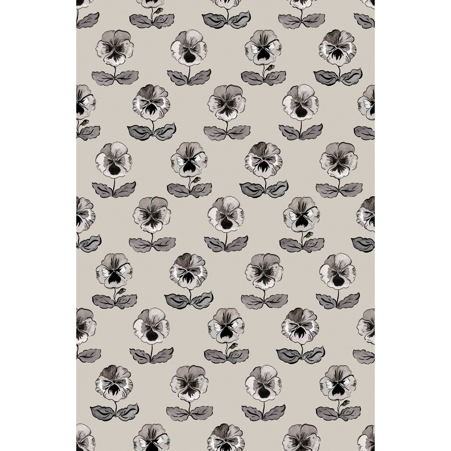 'Peggy' : Ammonite - FLORA BLACK
