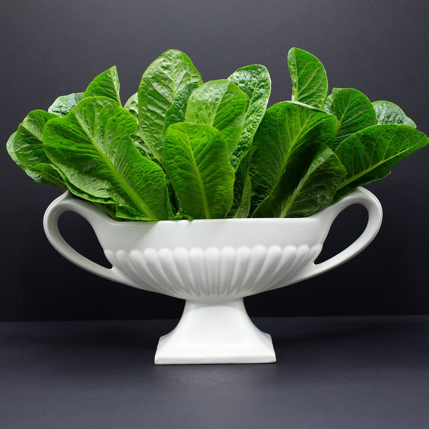 Mantle Vase with Twin Handles and Raised Pedestal - FLORA BLACK