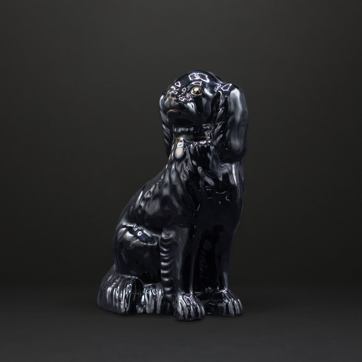 The Black Dog - FLORA BLACK