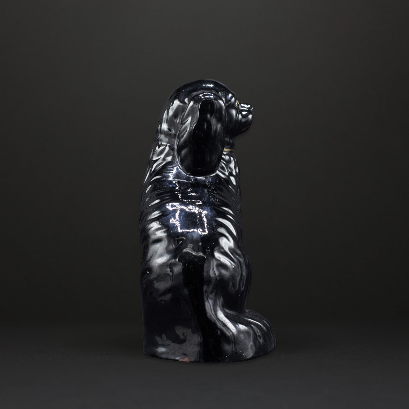 The Black Dog - FLORA BLACK