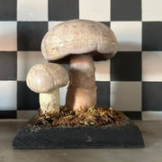 1950s Czech Republic Models Mushroom - FLORA BLACK