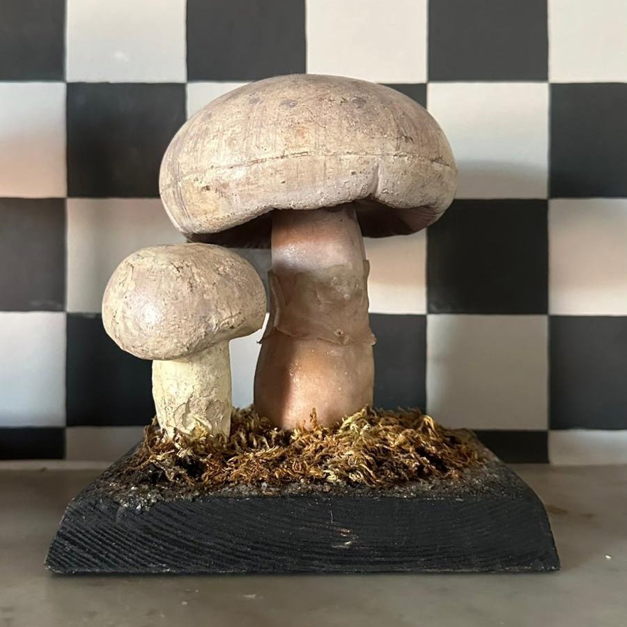 1950s Czech Republic Models Mushroom - FLORA BLACK