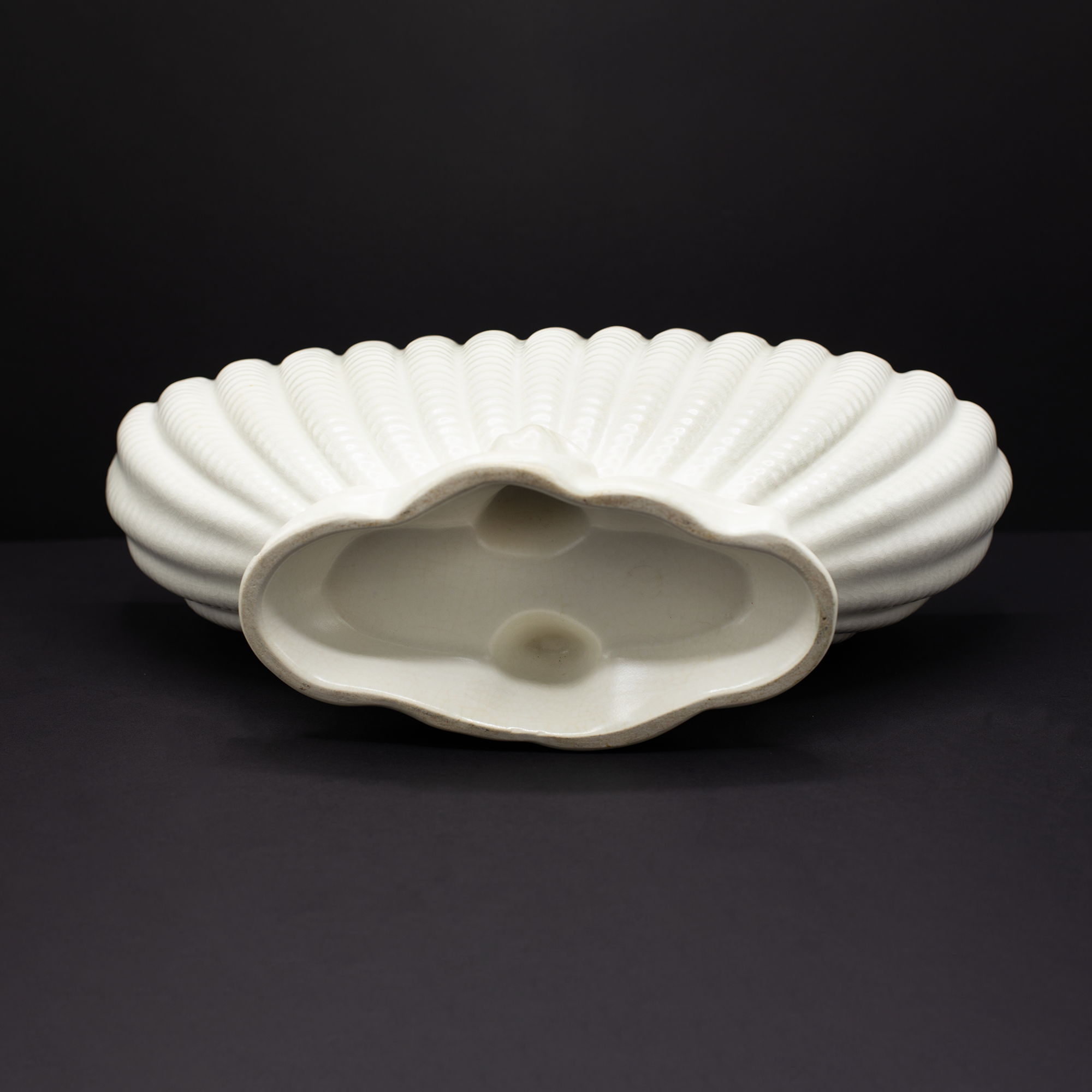 Long Classic Shell Vase