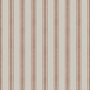 'Jasper' : Cinnamon