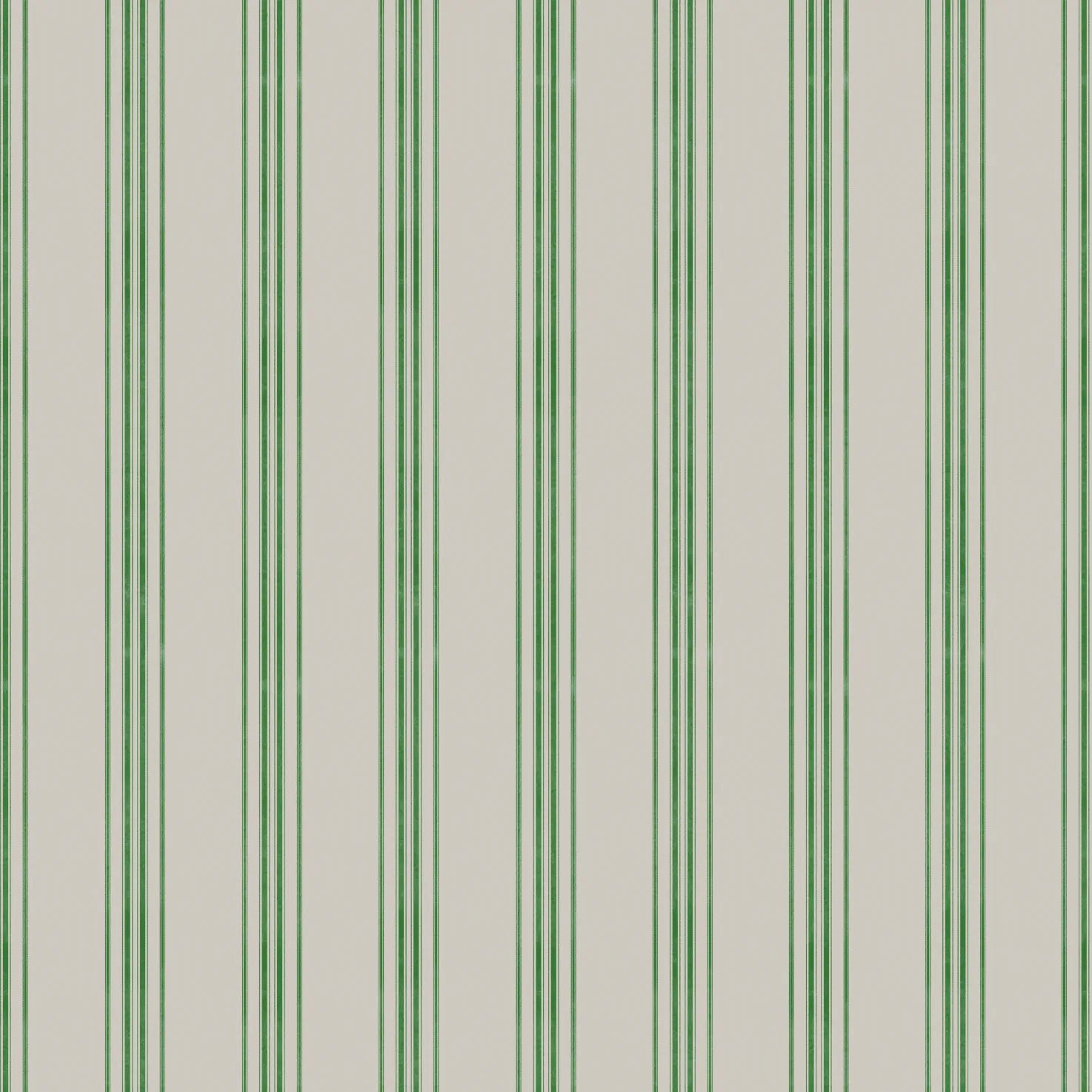 'Jasper' : Parsley