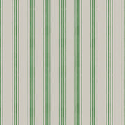 'Jasper' : Parsley