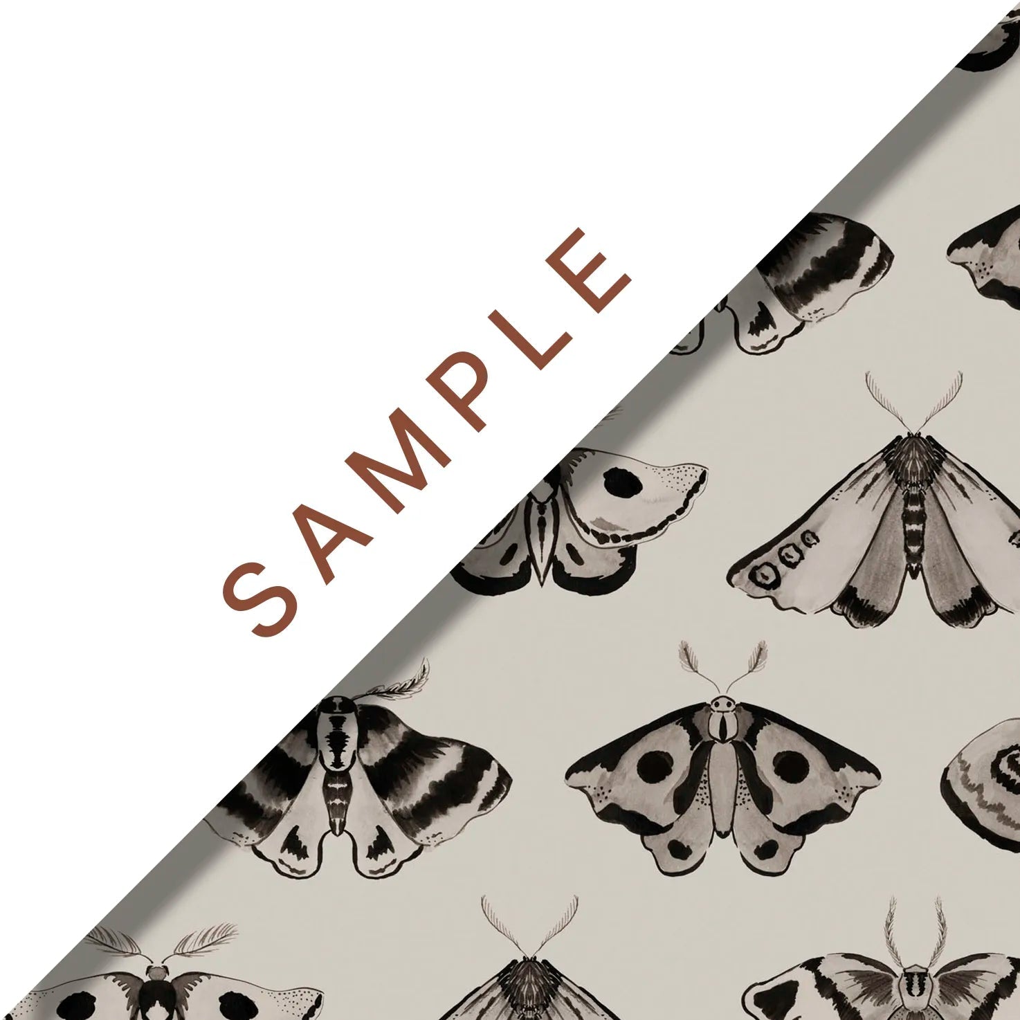 'Dusk' : Ammonite - FLORA BLACK