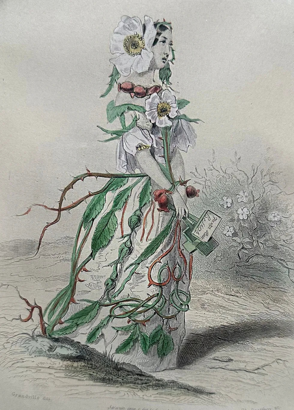 Les Fleur Animees by JJ Grandville - SWEET BRIAR - FLORA BLACK