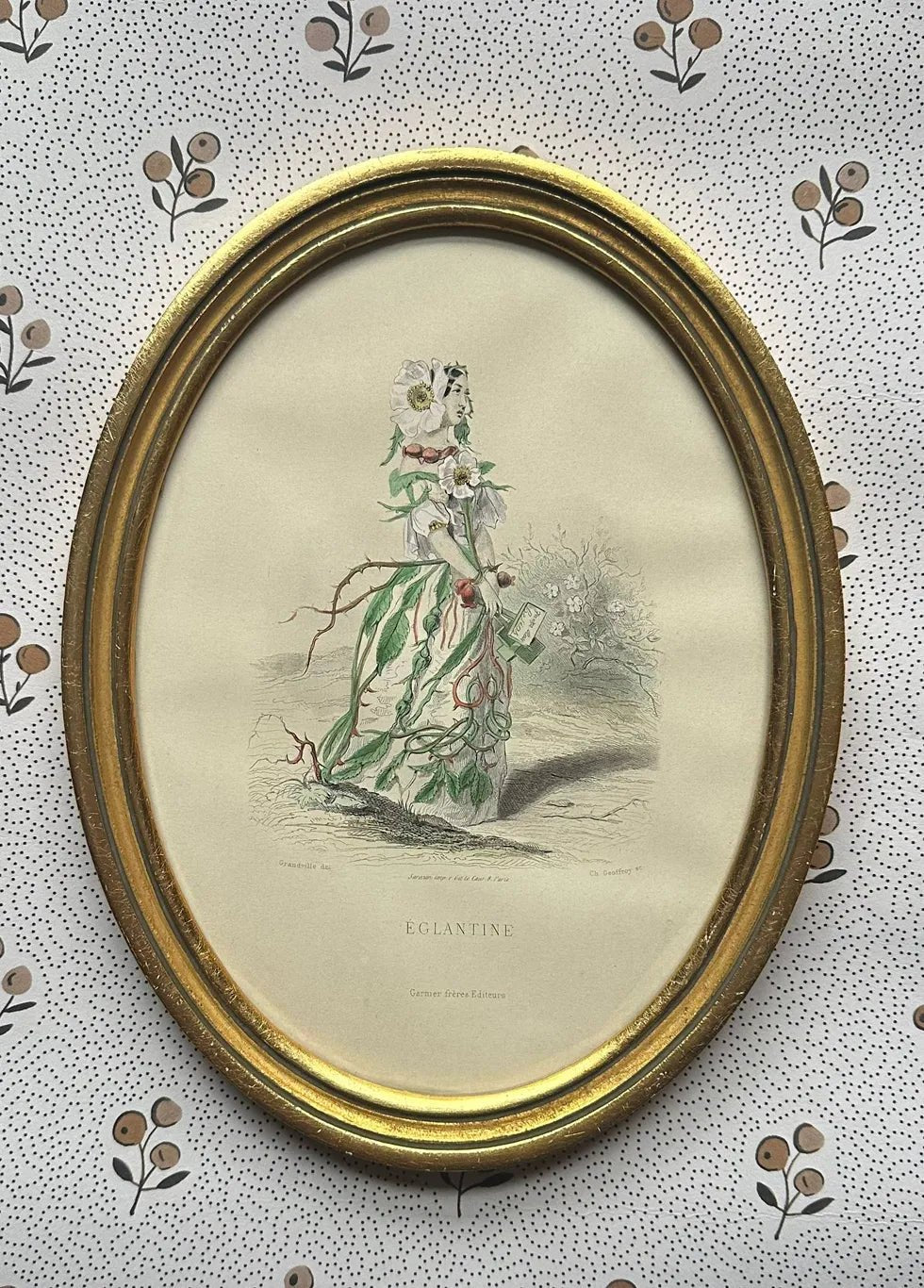 Les Fleur Animees by JJ Grandville - SWEET BRIAR - FLORA BLACK