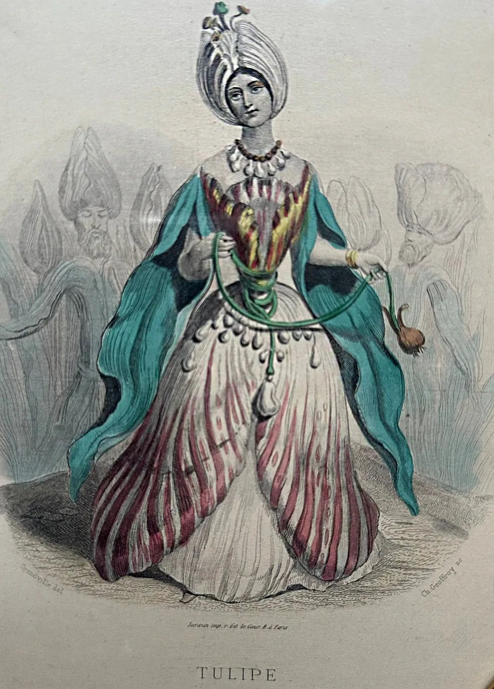 Les Fleur Animees by JJ Grandville - TULIP - FLORA BLACK