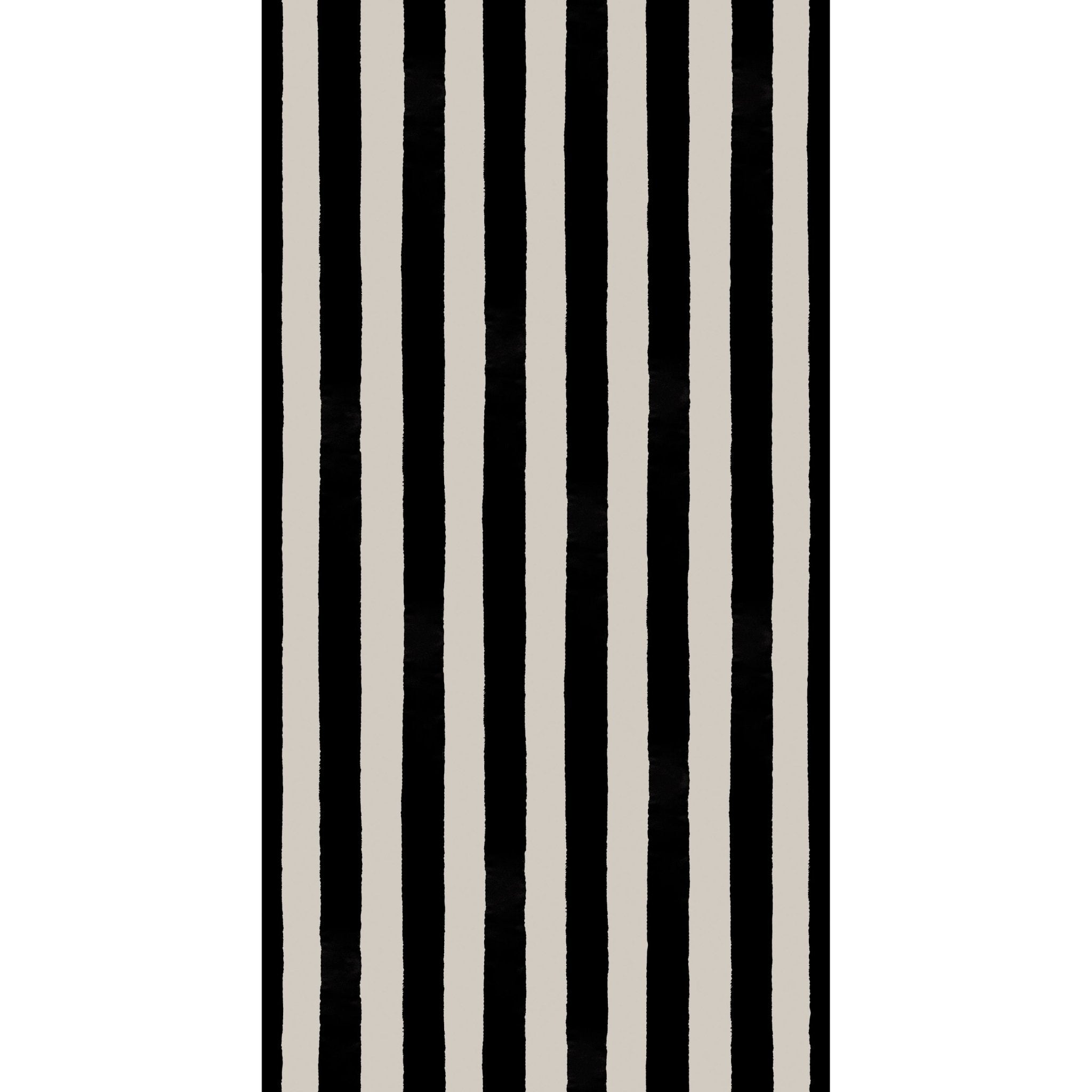 'Pablo' : Ammonite - FLORA BLACK