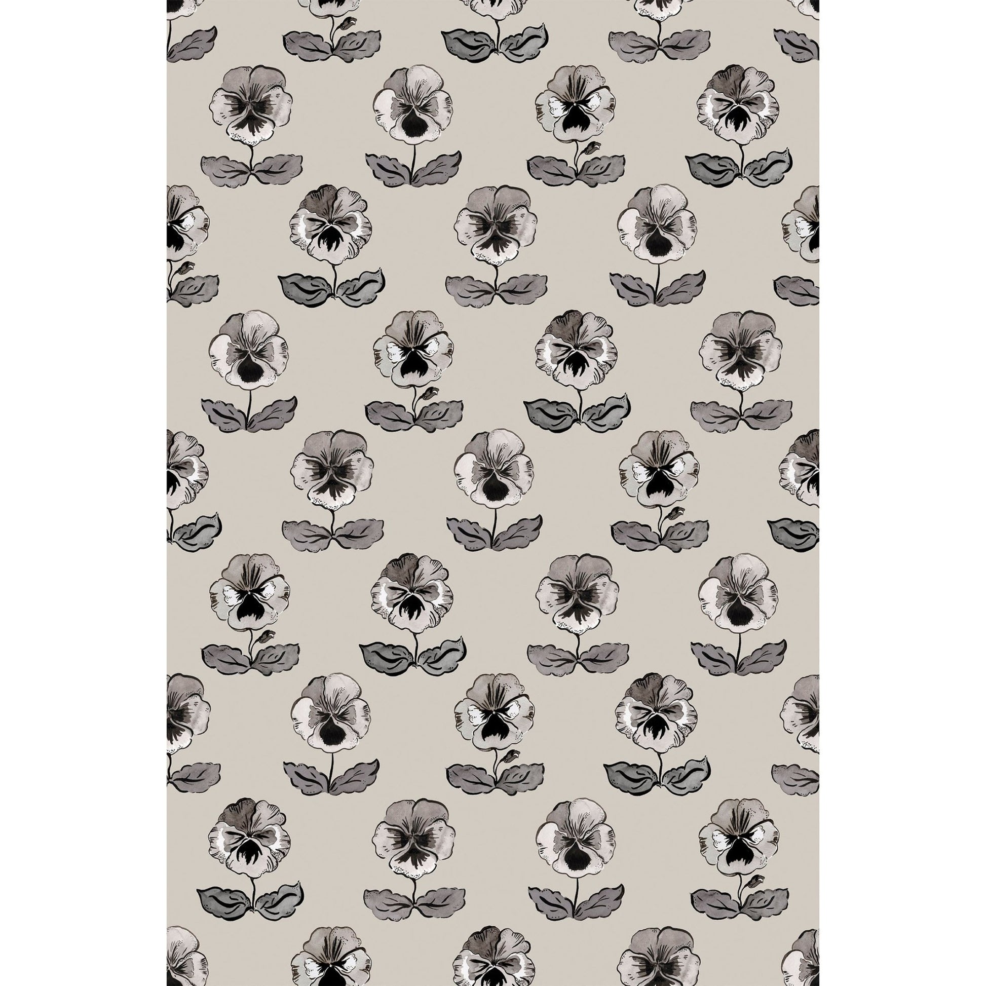 'Peggy' : Ammonite - FLORA BLACK