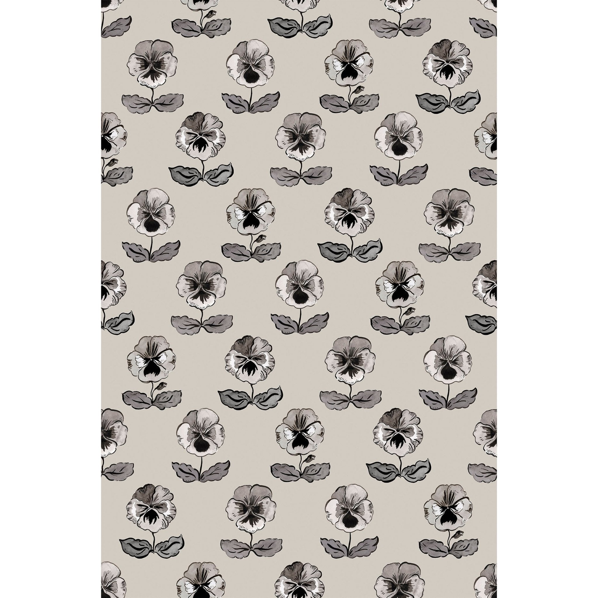 'Peggy' : Ammonite - FLORA BLACK