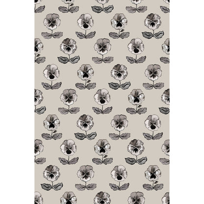 'Peggy' : Ammonite - FLORA BLACK