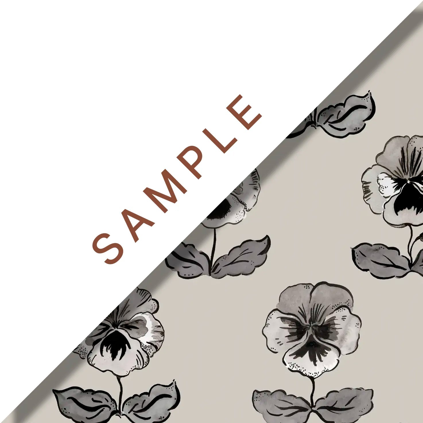 'Peggy' : Ammonite - FLORA BLACK