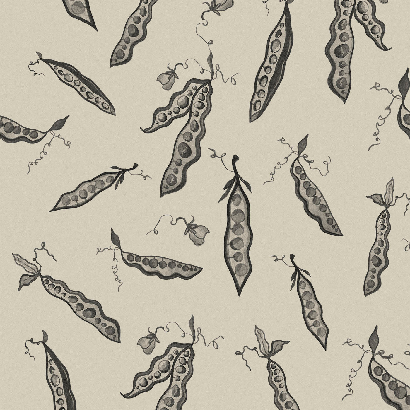'Pretty Peas' : Black & Bone - FLORA BLACK
