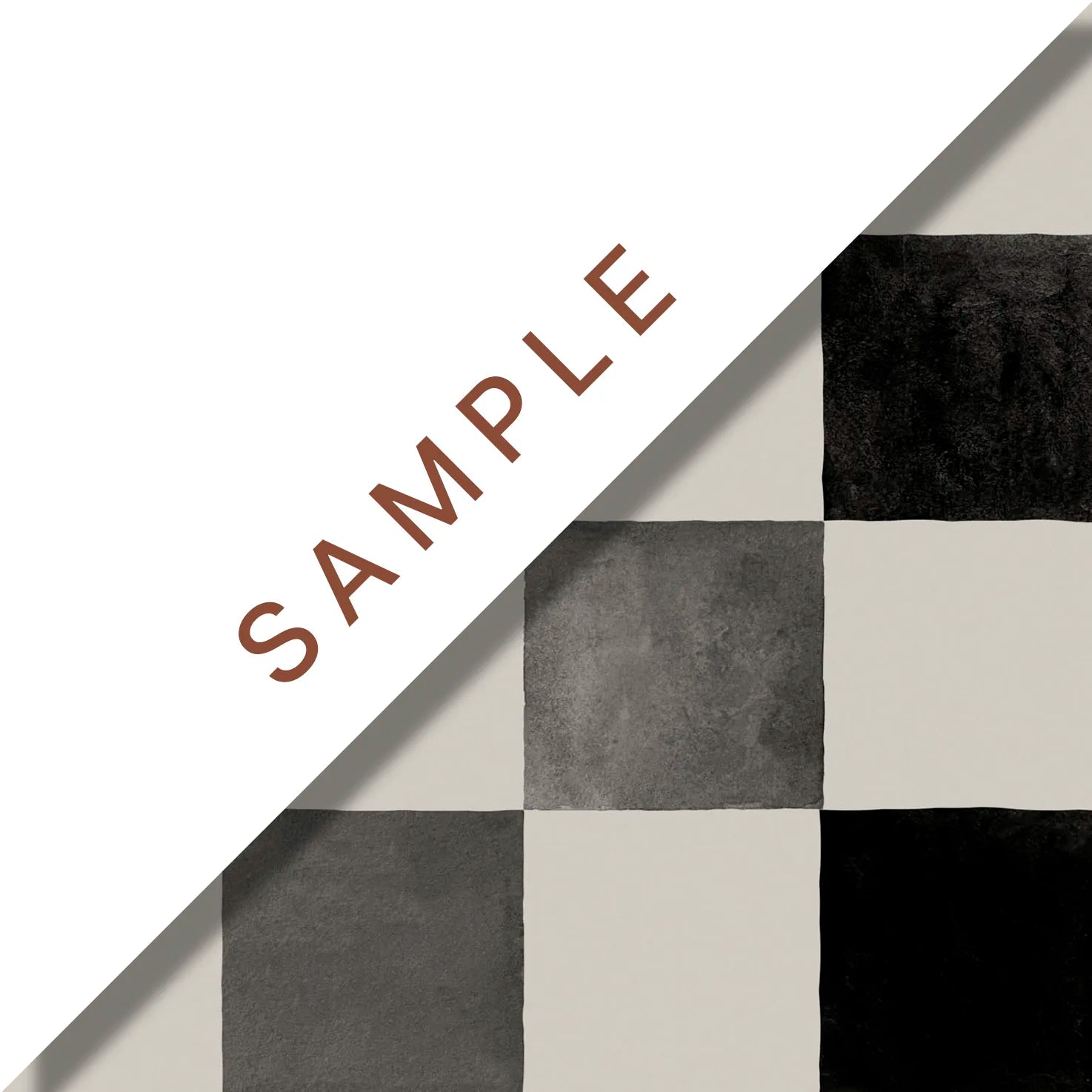 'Queen's Gambit' : Ammonite - FLORA BLACK