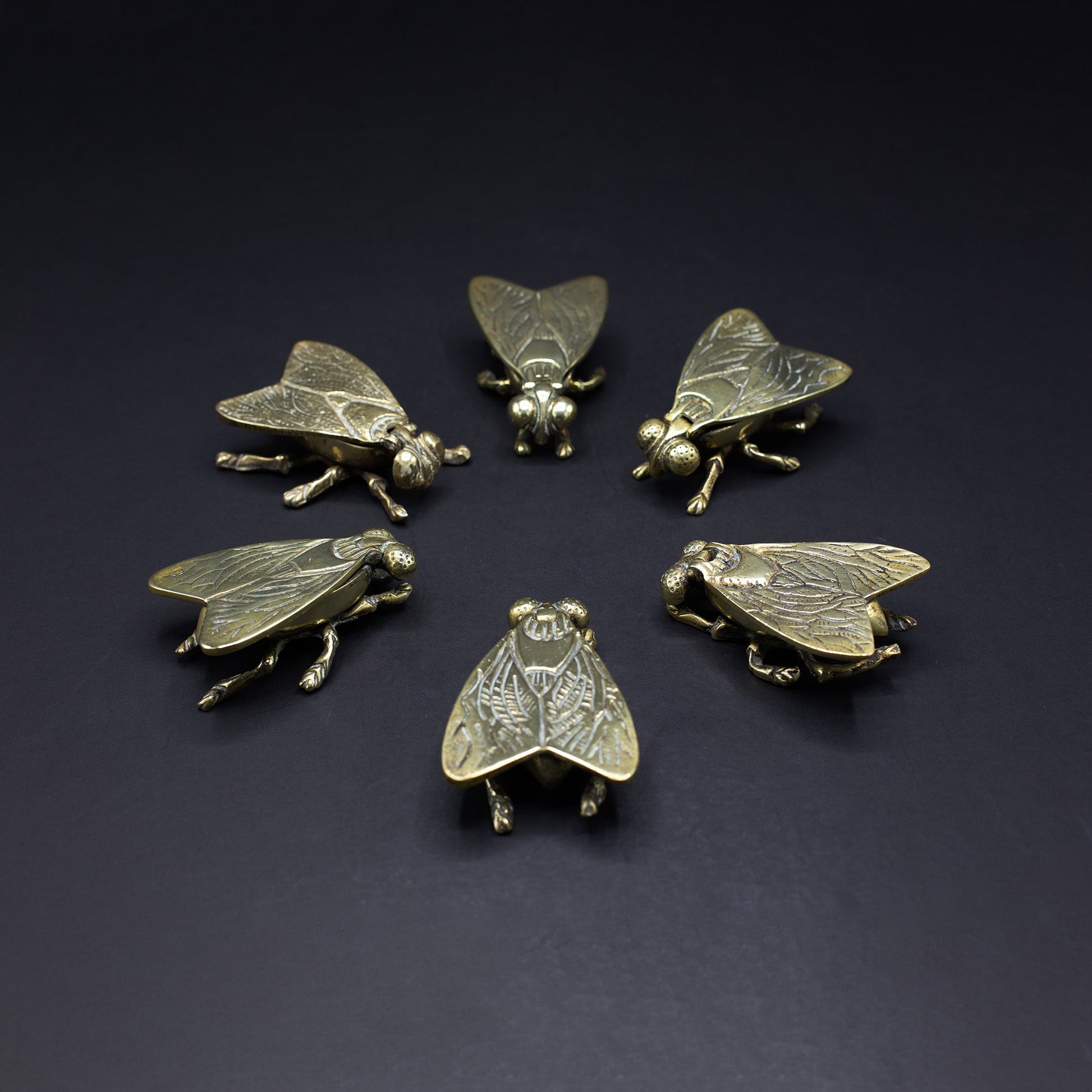 Brass Fly Ashtray / Trinket Box (No.1) - FLORA BLACK
