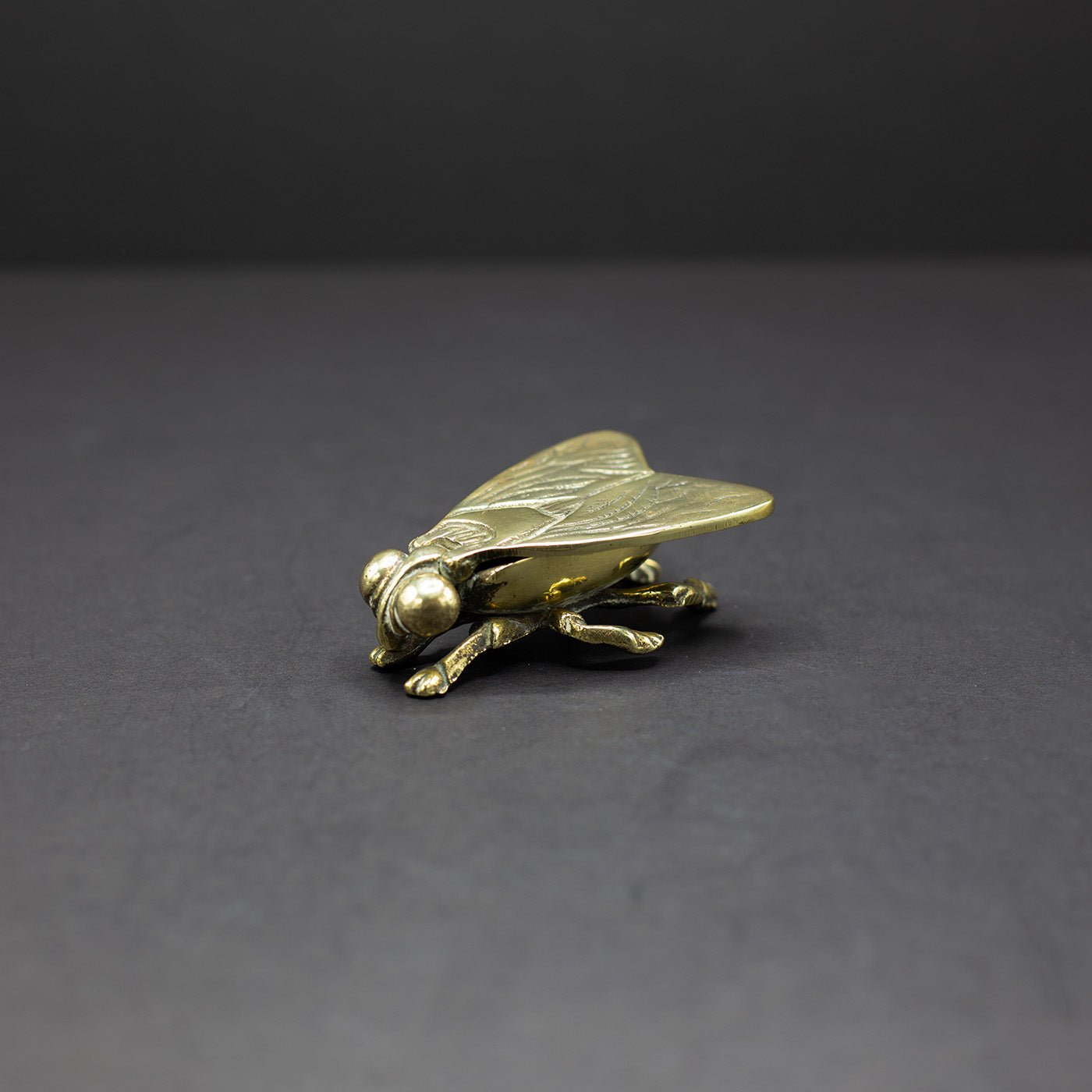 Brass Fly Ashtray / Trinket Box (No.1) - FLORA BLACK
