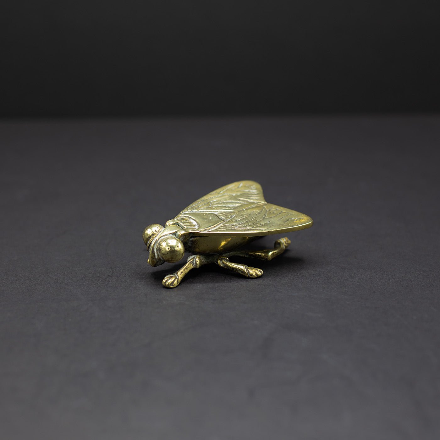 Brass Fly Ashtray / Trinket Box (No.5) - FLORA BLACK