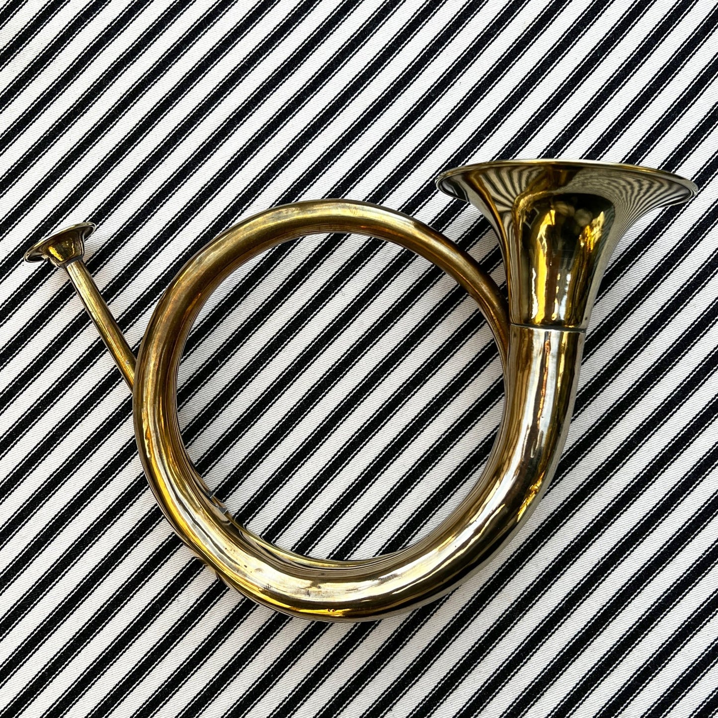 Decorative Brass Horn - FLORA BLACK