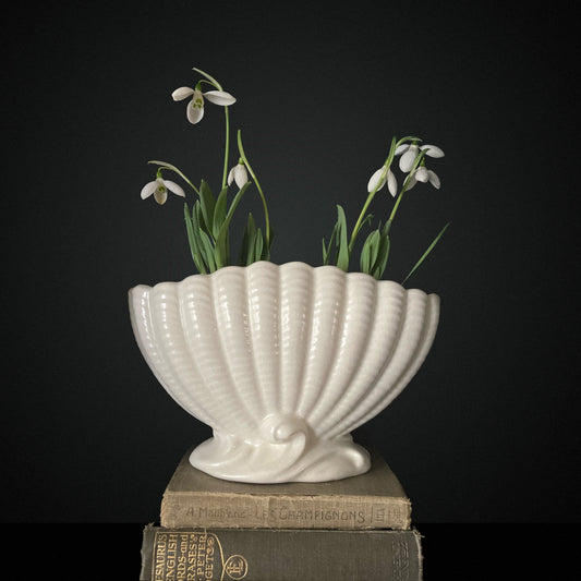 Medium Classic Shell Vase - FLORA BLACK