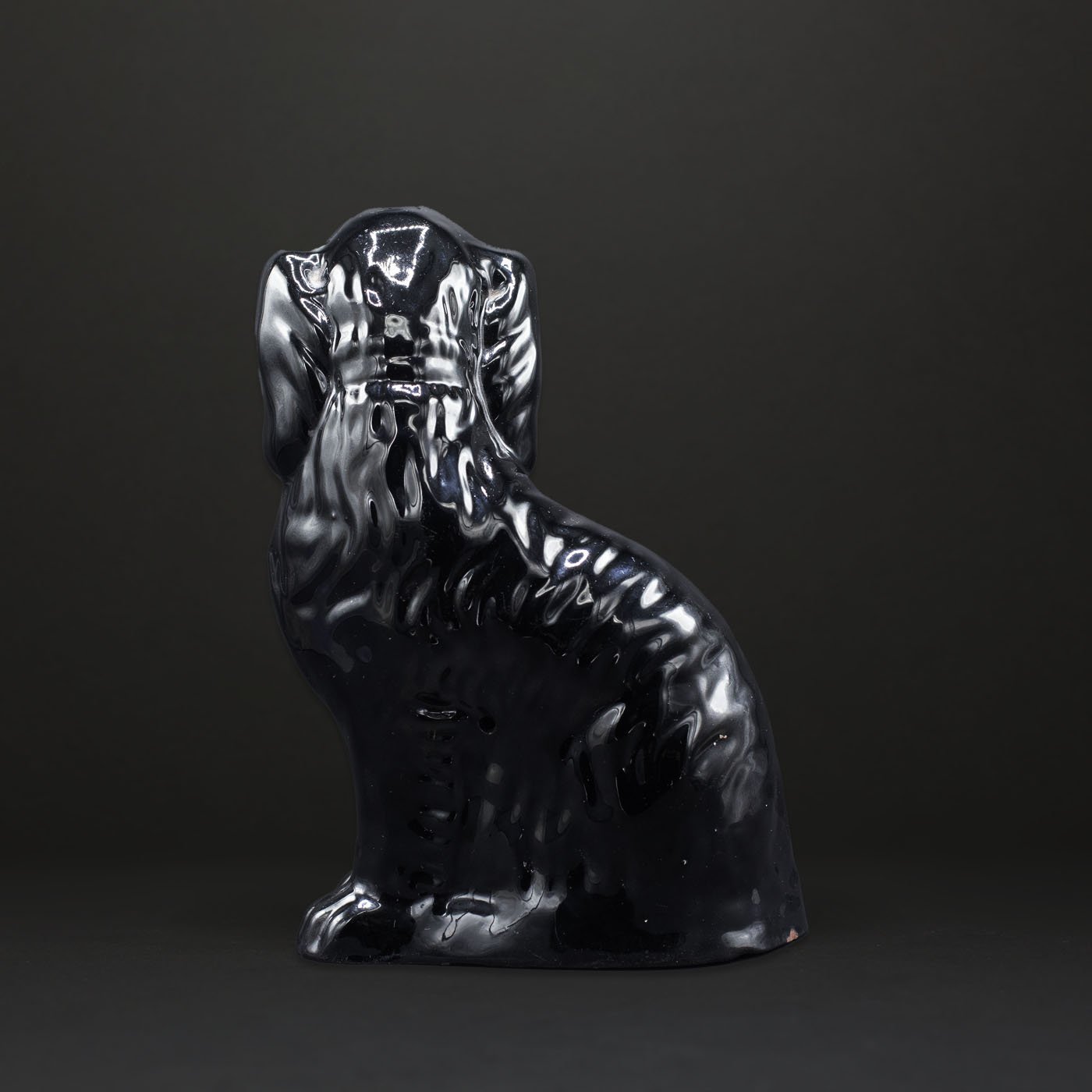 The Black Dog - FLORA BLACK