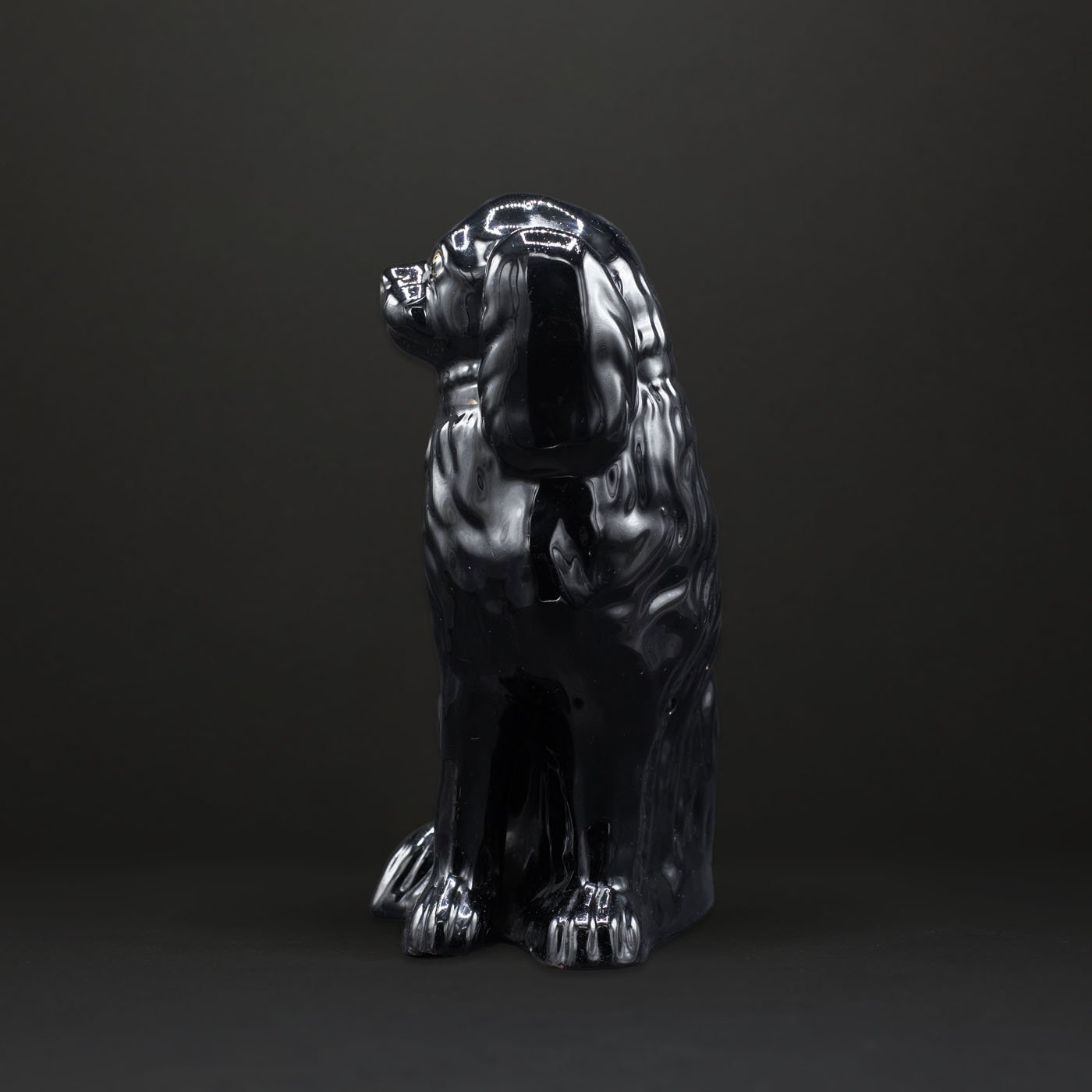 The Black Dog - FLORA BLACK